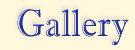 Gallery.jpg