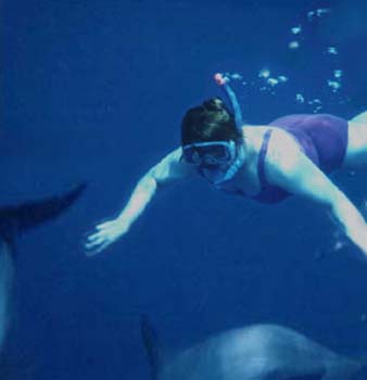 judithdolphin