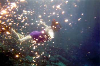 judithswim