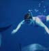 judithdolphin